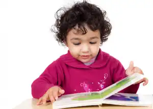 10 Best Board Books for Toddlers