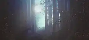 Get Paid $1,170 to Play With Nerf Halo Blasters